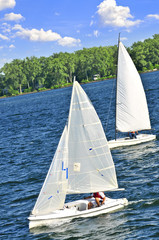 Small sailboats