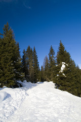 Italian Mountain Snow Background