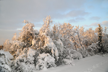hiver matinal en provence
