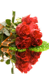red roses isolated on white. space for text.