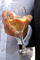 Bicchiere di Vino