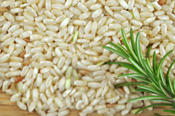 Obraz premium Rice with Rosemary