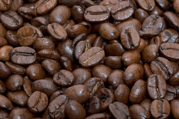 Coffee Beans close-up