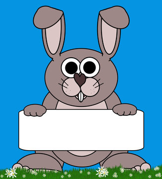 Bunny Rabbit Cartoon - Holding Isolated CopySpace Board