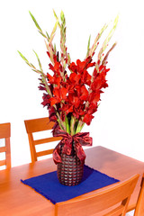 red gladiolas
