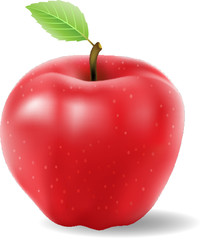 red apple vector isolated on a white background