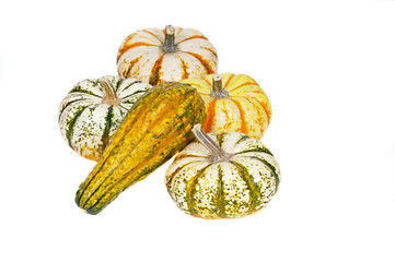 variety of sqush or gourds