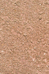 Brick/Paver