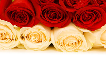 Red and white roses isolated on white