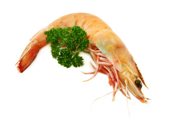 Prawn And Parsley