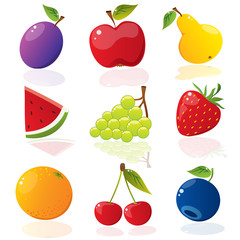 Set of different vector fruits