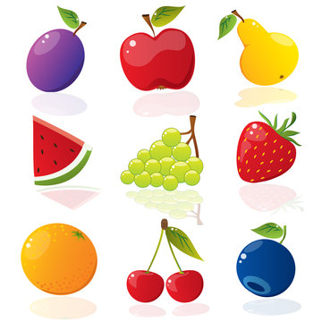 Set of different vector fruits
