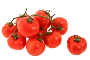 Branch of tomatoes