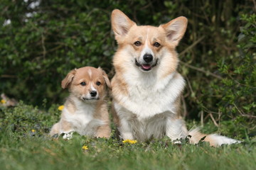 Photo de famille