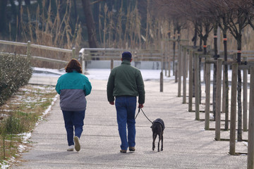 couple en train de marcher avec leur chien