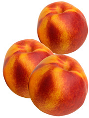 Fruit a peach and apricot hybrid