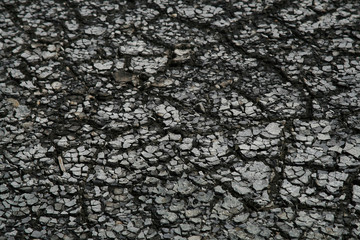 Dry Cracked Soil Land