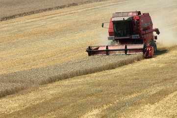 Obraz premium harvester