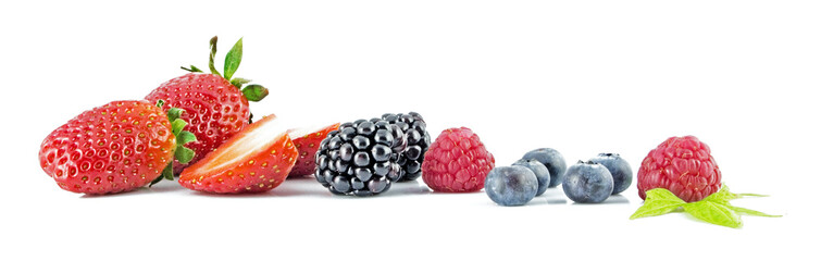 Frutti di Bosco 25 r