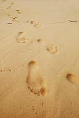 Footprints in the sand