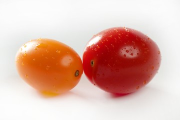 Little cherry varied multi color tomatoes