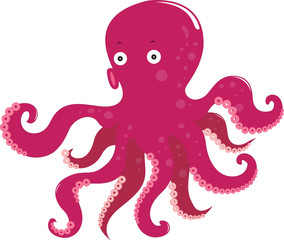 octopus