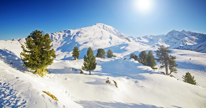 Sunny winter mountain lanscape