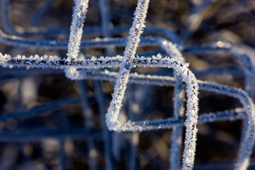 wire in winter