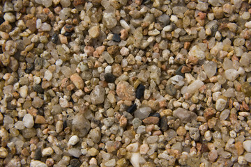 little stones from a stony beach
