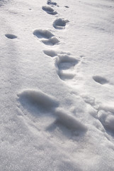 Footprints on snow