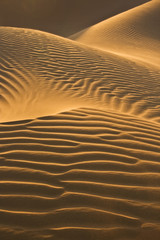 desert dunes in evening sun