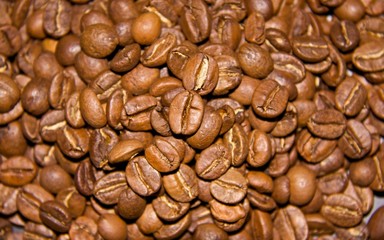 coffee beans
