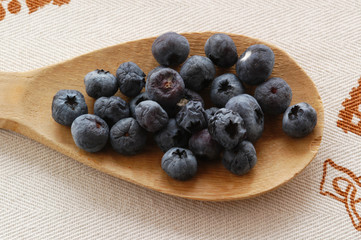 Mirtilli - Vaccinium myrtillus