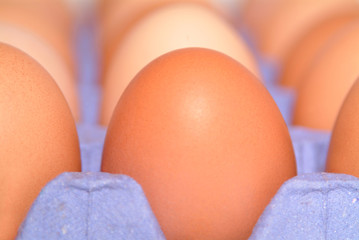Frohe Ostern