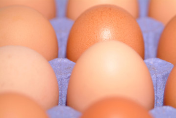 Frohe Ostern