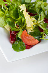 Detail eines gemischten Salates auf einem weißen Teller