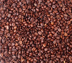 coffee beans