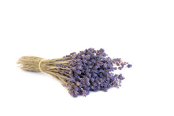 Lavender Herb