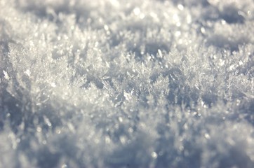 Obraz premium Schneewüste