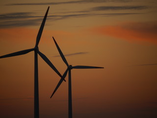 Fototapeta premium Windräder