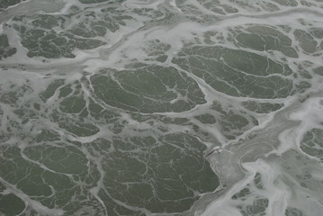 Obraz premium schiuma del mare