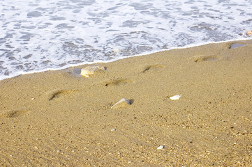 Footprint