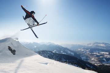Jumping Skier - 11361622