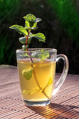 thé à la menthe