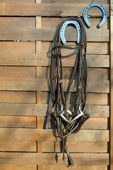 le filet © Claude Calcagno