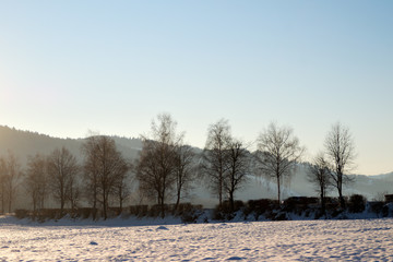 Naklejka premium sun beam