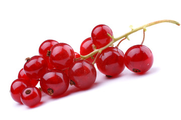 Red currant on a white surfce