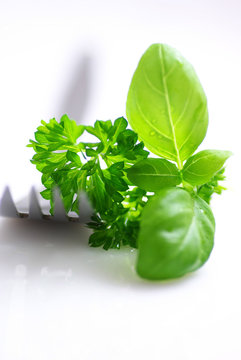Fresh basil and parsley