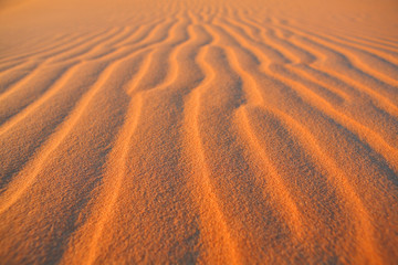 Sahara desert background