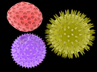 pollen